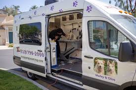 pin by arabian boho on grooming in 2021 mobile pet grooming pets pet grooming business
