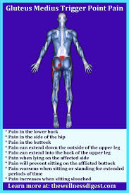 Pin On Hip Muscles