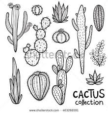 Black And White Cactus Drawing Hand Drawn Cacti Abstract Natural Collection In Black And White How To Draw Hands Cactus Drawing Succulent Tattoo