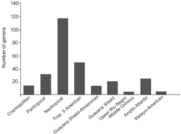 Image result for Rhytachne robusta