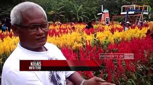 Ternyata, sebelum jadi tempat yang indah seperti sekarang, dulu taman sakura keputih. Taman Bunga Kebon Asri Bayat Klaten Info Lif Co Id