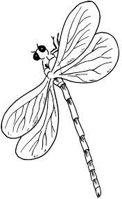 Check spelling or type a new query. Dragon Fly Coloring Pages Coloring Home