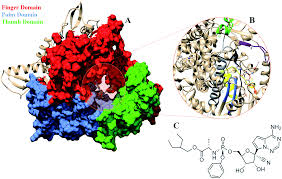 It is administered via injection into a vein. Remdesivir Bound And Ligand Free Simulations Reveal The Probable Mechanism Of Inhibiting The Rna Dependent Rna Polymerase Of Severe Acute Respiratory Syndrome Coronavirus 2 Rsc Advances Rsc Publishing