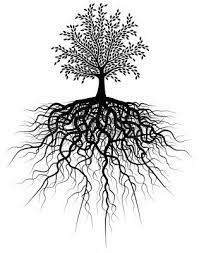 Editable Vector Illustration Of A Tree And Its Roots Roots Illustration Tree Roots Tree Illustration