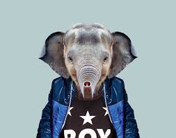 Cute Images Of Animal Babies Photoshoped On Well Dressed Human Body Design Swan Baby Animals Animals Images Pet Portraits