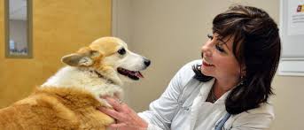 Farmstead veterinary medical center in jasper, al is a full service companion animal hospital. Veterinarians In Millbrook Prattville Al Millbrook Prattville Veterinarians Ark Animal Hospital