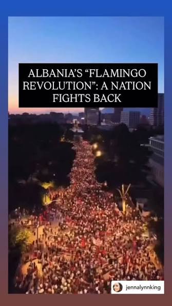 Day 17 While the flamingos are pink-ing Tirana and the world, people continue to gather in Tirana to defend the places they depend on. The call remains the same, protect Albania's Protected