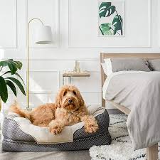 Whether you want inspiration for planning round bed or are building designer round bed from scratch, houzz has pictures from the best designers, decorators, and architects in the country. 17 Best Dog Beds 2020 The Strategist New York Magazine