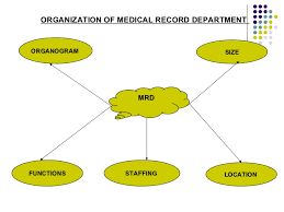 Organization Of Medical Record