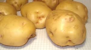 How To Come Conservare Le Patate Crude E Cotte Agrodolce