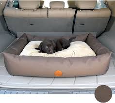 We did not find results for: Best Dog Beds For Car Veterinarians Org