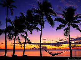 Check spelling or type a new query. Tropical Island Beach Sunset Wallpaper Desktop Background