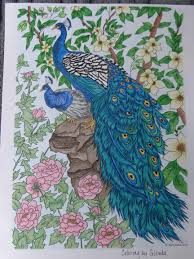 By best coloring pagesjuly 24th 2013. Stunning Peacocks Colored By Glenda Works Click On The Image To See The Original Coloring Design Peacock Painting Bird Coloring Drawings