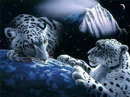 Free Download 3d Wallpapers Gambar 3 Dimensi Yang Cocok Buat Wallpaper Handphone 640x480 For Your Desktop Mobile Tablet Explore 49 Mu Wallpaper 2015 Mizzou Wallpaper University Of Missouri Wallpaper Missouri State Wallpaper