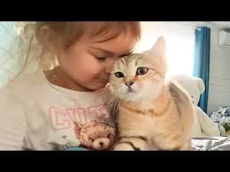 ALICE FOUND A HOLE IN MAINE COON MELISSA/Sand cat Zlata hides in the closet  and doesn't let us sleep