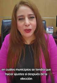 Tribunal Electoral intervendría en 44 municipios para garantizar paridad en  regidurías