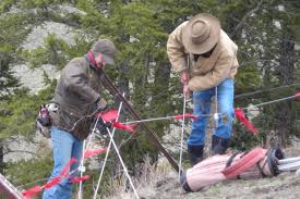 Reintegrating Wildness — Matt Barnes