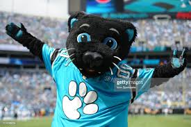 Carolina Panthers Mascot Sir Purr is happy with his teams playing... News  Photo - Getty Images