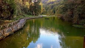 山行者秘境 從踏青散步到百岳攻頂 台灣14條經典登山路線 every little d formosa canal