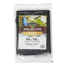 Bird Netting For Blueberries Lowes Sta Green Bird Netting 13 Ft X 15 Ft Black Polypropylene No Dig Garden Extruded Mesh Rolled Fencing In The Rolled Fencing Department At Lowes Com