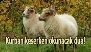 Kurban Keserken Okunacak Dua Kamu Saati