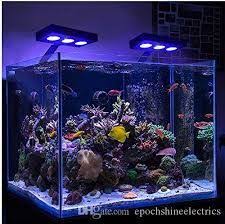 As a result, it is ideal for growing vegetables and plants indoor. Mars Aqua 300 Watt Led Modification Mylife Marine Fish Tanks Saltwater Fish Tanks Marine Aquarium