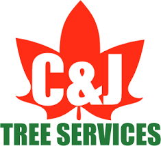 Most of our homeowners report that pruning services cost an average of $691 per visit, while tree cutting can cost more than $1,000. Reviews C J Tree Services