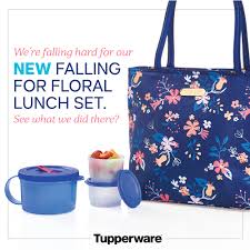 Pin On Tupperware Winter Spring 2019 Catalog