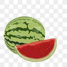 رسم فواكه بطيخ المرسومة البطيخ المرسومة شعار الفاكهة ضبط القصاصات الفنية png صورة للتحميل مجانا in 2021 fruits drawing fruit clipart watermelon clipart