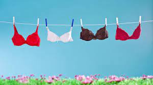 How Often Should You Wash Your Bra Howstuffworks