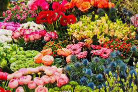 Check spelling or type a new query. Tips To Preserve Your Valentine S Day Roses Flower Arrangements