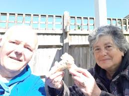 Pett Virtual Coffee Morning