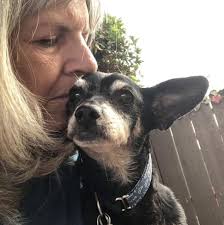 Rally was chosen as Fling Extrodinare Sue King's first Fling of 2025! Rally  is a sweet lobby dog with paralyzed back legs and limited front leg  mobility. Even starting