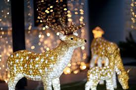 Holiday Event Guide Fremont East Bay 2018 Fremont Ca Patch