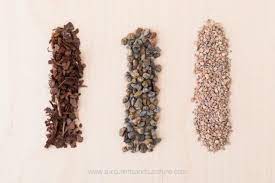 Well Draining Soil For Succulent Container Gardens Suculentas Contenedores Para Suculentas Plantas Suculentas