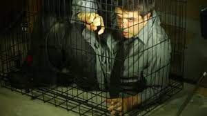 That someone was being held captive in the basement of a home at 218 liberty street. Kidnapping Scene In Basement Two Stock Footage Video 100 Royalty Free 8772187 Shutterstock