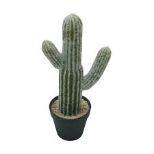 Make our saguaro seasonal feature by throwing caution to the wind and decorating it up with some lights and tinsel for the festive period. A B Home Potted Faux Saguaro Cactus Walmart Com Walmart Com