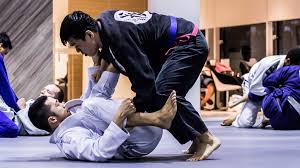 Each 5' ×10' weighs 20 pounds. 5 Basic Bjj Movements Beginners Need To Perfect Evolve Daily