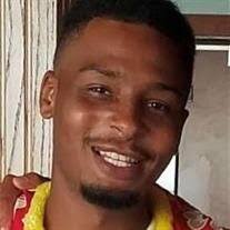 Phillip Robert Laney Obituary