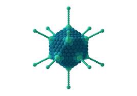 Learn about adenovirus symptoms, transmission, prevention adenovirus. Virus A Candidate For Furunculosis Vaccine Fishfarmingexpert Com