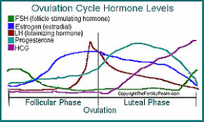 62 Extraordinary Pregnancy Hormones Graph