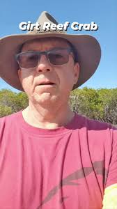 Camping trip to Girt Reef crab footage