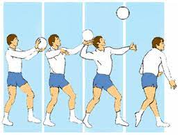 Saque en suspensión en potencia o flotante: Saque De Tenis Alto Baby Mobile Family Guy Volleyball