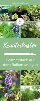Fur Sonne Und Schatten Der Krauterkasten Auf Dem Balkon Versorgt Dich Taglich Mit Frischen Kraut In 2020 Krautergarten Balkon Balkonkasten Bepflanzen Balkon Pflanzen