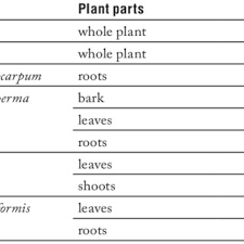 Image result for Dicerocaryum eriocarpum