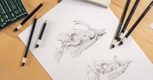 Most of all, it takes a lot of skill in order however, people that do pencil drawings can take a sketch pad and a pencil with them and enjoy art whenever they feel the need. How To Preserve Pencil Drawings And Illustrations Domestika