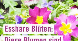 Pin Auf Saisonal Regional Rezepte Einkaufen Produkte Und Tipps