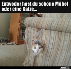 Entweder Hast Du Schone Mobel Oder Eine Katze Lustige Bilder Spruche Witze Echt Lustig