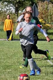 1:30 tours available @ virginian wesleyan. Pisgah S Hendrie Heads To Virginia Beach Sports Academy Sports Themountaineer Com