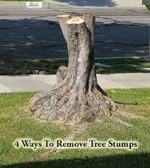 Pin On Home And Gardening Ideas